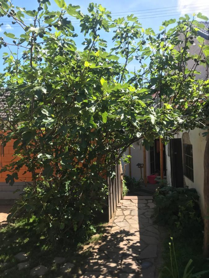 Ferienhaus Rheinperle Mit Garten In Remagen Am Rhein - Naehe Bonn Villa Eksteriør bilde