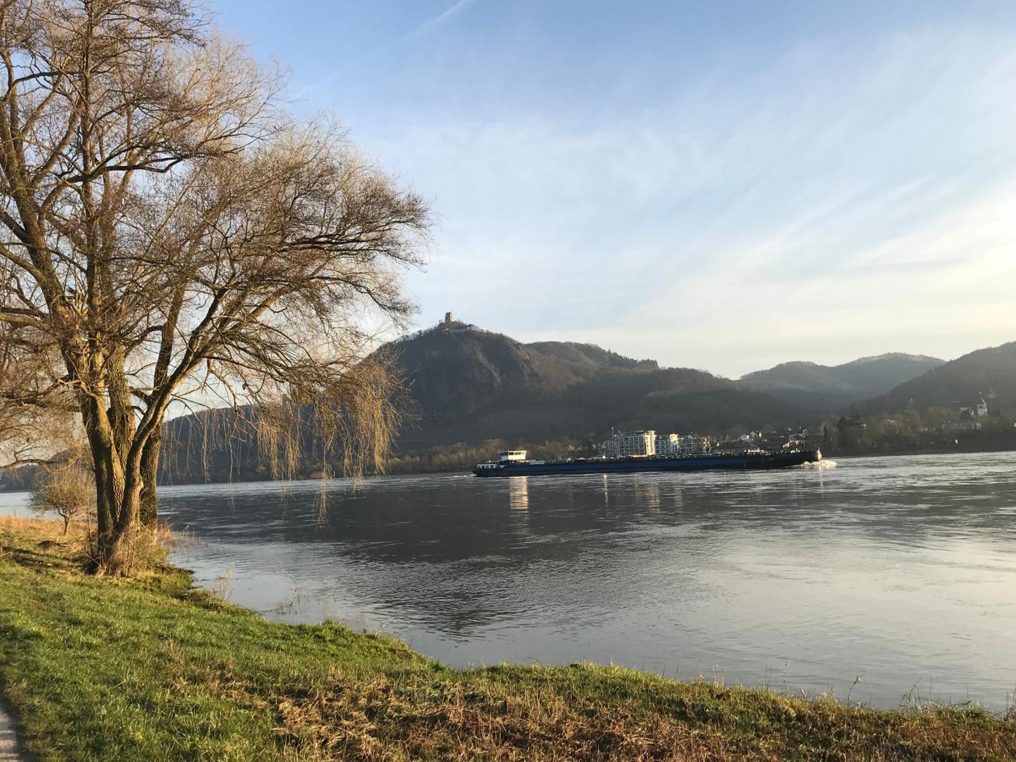 Ferienhaus Rheinperle Mit Garten In Remagen Am Rhein - Naehe Bonn Villa Eksteriør bilde