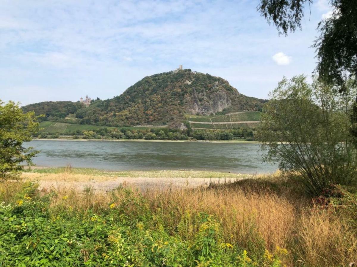 Ferienhaus Rheinperle Mit Garten In Remagen Am Rhein - Naehe Bonn Villa Eksteriør bilde